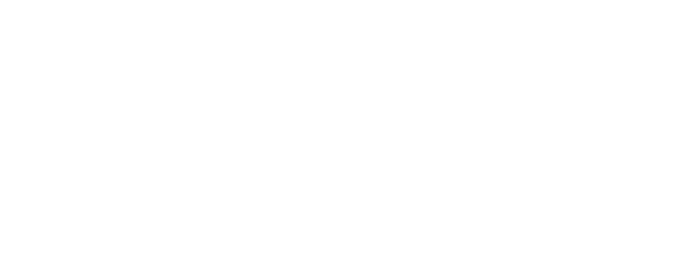 misterpainter-logo-white